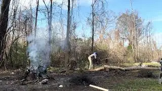 Forest floor makeover