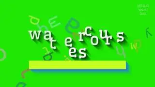 How to say 