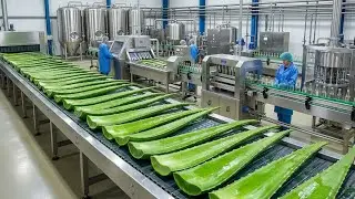 🏭 How Refreshing Aloe Vera Juice Is Made Inside a Modern Factory | Full Proces@NextEraProcessingZone