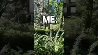 Let me know if you like this kind of video! #seattle #washington #nature #photography