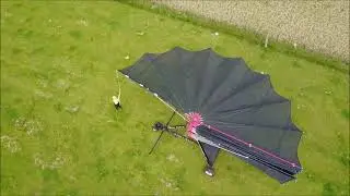 Wagyurinder Sonnenschirm in der Paxis