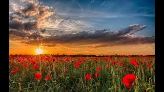 Baha'i Prayer, Yá Alláhu'l-Mustagháth (Lucíe Dubé)