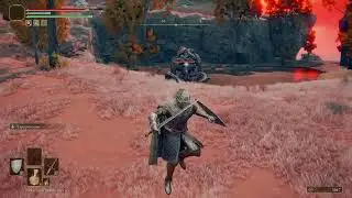 Thank you ELDEN RING /Bug / Glitch