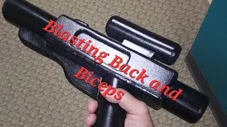 Blasting Back and Biceps | Gym Vlog