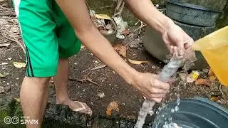 The 75th Birthday prt2/final cleaning of chitterlings  and how we cook the lechon