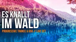 Progressive Trance & Goa Live Set / Es knallt im Wald #01