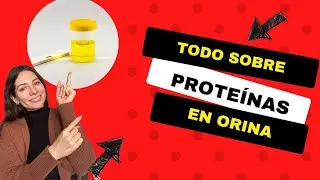 Proteinas en orina: causas y tratamiento