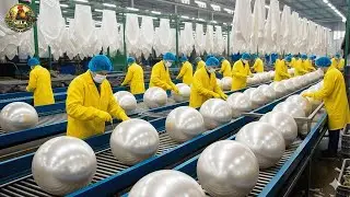 How Millions of Pearl Oysters Are Raised & Processed &ndash; Inside a Modern Pearl Processing Factory