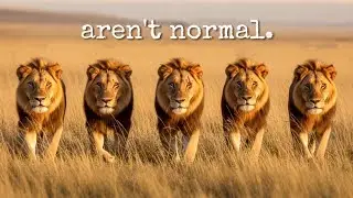 NOTCH - The Strongest Lions in History (Documentary)