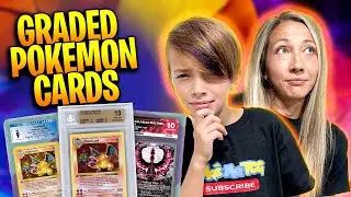 230 Pokemon Graded Cards Arrived Today. Let's See What We Got