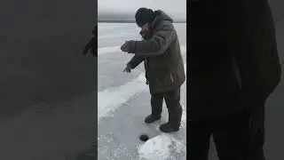 Корюшка Финский залив #рыбалка #корюшка #fishing
