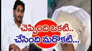 AP Government Flaws In New Grama Volunteer Rice Policy | Srikakulam | MAHAA NEWS