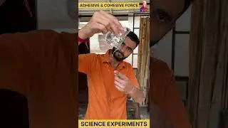 adhesive and cohesive force | science experiment |#experiment #science #physics