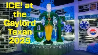 Rocks in my Sandals/Gaylord Texan Resort ICE! 2025
