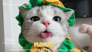 Playlist 🎧 오늘의 완벽한 리듬 😎 | POP 플레이리스트 | 카페 · 작업 · 집중