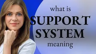 Support system &bull; what is SUPPORT SYSTEM definition
