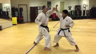 Bassai Kihon #4 - Rough Cut