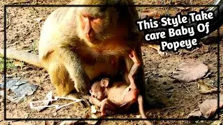 Cameraman so Broken heart, | Popeye so Bad style Take Care Cute Baby monkey Polino,