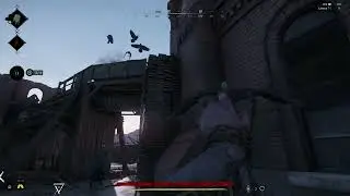 Crows poison bug all in one day of playing