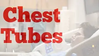 Chest Tube for Nursing Students RN NCLEX LPN NCLEX  #nursing students #NCLEX #RN #LPN