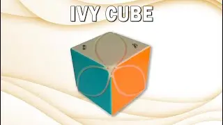 Risolvo l'Ivy Cube