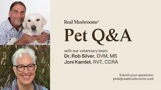 January 2026 Live Pet Q&A with Dr. Rob Silver DVM, MS & Joni Kamlet, RVT, CCRA