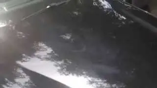 Black paint ruined? Buffer trails and swirls a plenty! Superior Shine to the rescue!