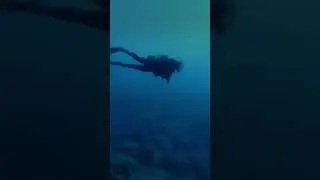 Buceo Radazul Tenerife Canarias 🇮🇨