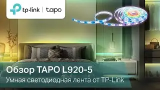 Устройте незабываемую вечеринку с Tapo L920-5 | Обзор светодиодной Wi-Fi ленты Tapo L920-5