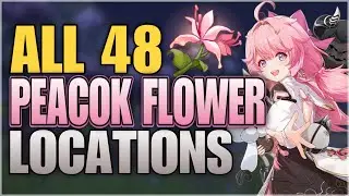 All 48 Peacok Flower Locations Wuthering Waves - Farming Route | Jiyan & Encore Ascension Materials