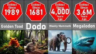 Extinct Animals Comparison