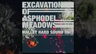 HALLEY HARD SOUND UNIT &ndash; Excavation of Asphodel Meadows