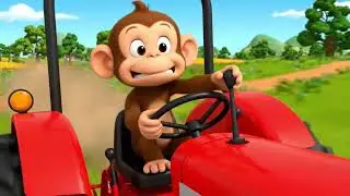 monkey and Fat Cat rescue a trapped squirrel and go racing together ll @KittyDreamWorld