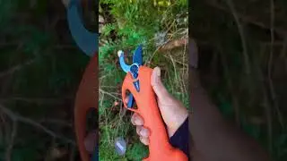 This is No joke ! Powerful Electric Pruning Shears! #viral #trending #shorts
