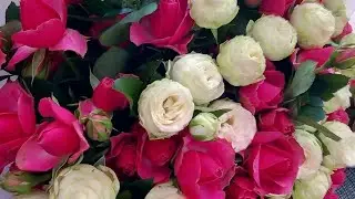 The Most Beautiful Flowers in the World: Tulips, Lilies & Roses 🌺 Flower Time-lapse & Photography