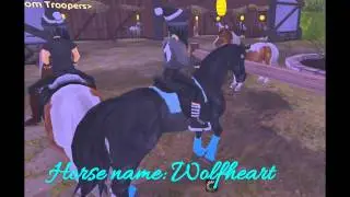 Buying New Horse:~ American Paint Horse:Overo~