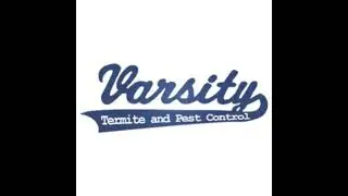 Why You Need High Quality Termite Treatment When Building a New Home in Arizona