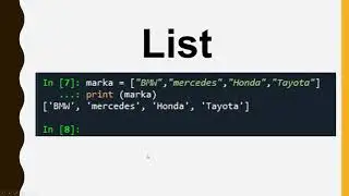python-8(list)