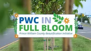 In Full BLOOM - Brentsville Beautification Project