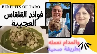 فوائد القلقاس |🍪 وطرق إستخدامه الصحية الأمنة 🍪 | مفاجأة المدام الألمانية