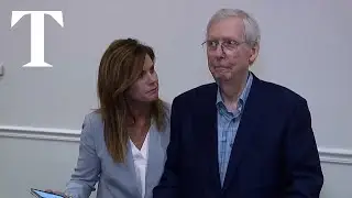 Mitch McConnell freezes during press conference for second time in a month