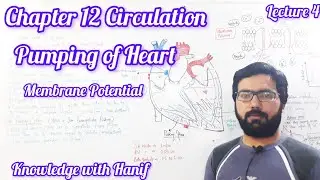 Pumping of Heart by Hanif|Cardiac Muscle||Membrane potential||Detail lecture series