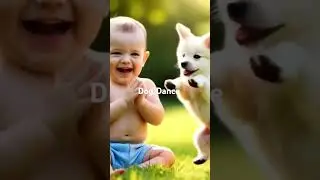 Dog dance #dog#dogdance#cartoon #shorts