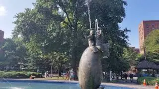 Bronx NY Walking Tour | Parkchester in the BX | Day Time