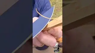 Перья: самый полезный и распространенный ресурс для разведения огня! #выживание #кемпинг #выживан...