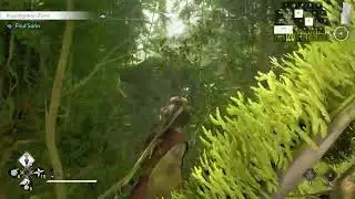 AC Shadows How to Finish Find Sorin Location - He is south of the waterfall Assassin's Creed Shadows