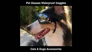 Pet Glasses Goggles Water & Windproof Sunscreen Uv Protection Dog Glasses | Cats & Dogs Accessories