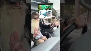 Driving with LC: Above-ground scuba diving, anyone? Join the Leasing Cowboy for a swim. Giddy Up!