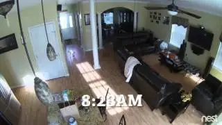 Roomba Spreads Dog Poop