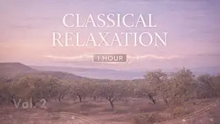 Contemporary Classical Music Vol. 2 | Olive Grove Calm & Evening Relaxation (4K)